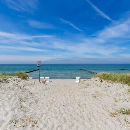 Strandlaeufer 04 *