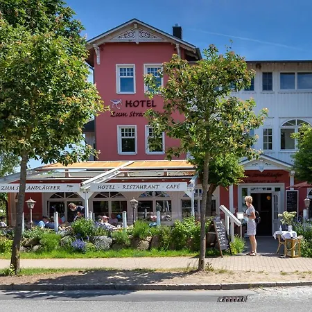 Strandlaeufer 04